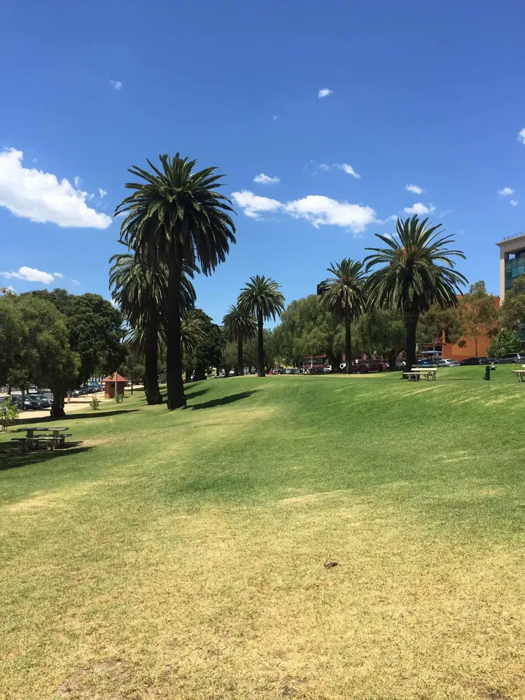 雷速- 澳大利亚选手 